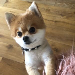 Meet your Posher, Kat